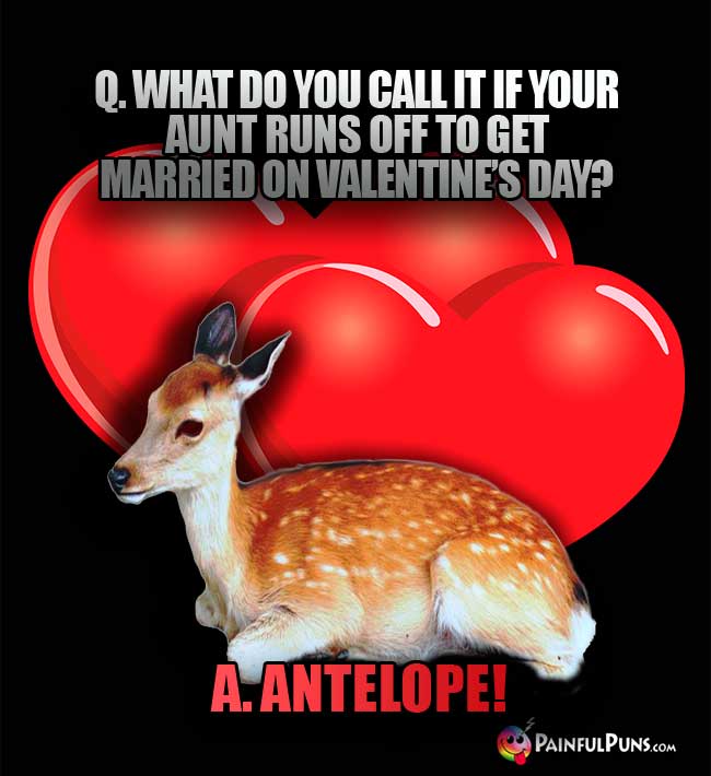 Q. What do you call it if your aunt runs off to get married on Valentin's Day? A. Antelope!
