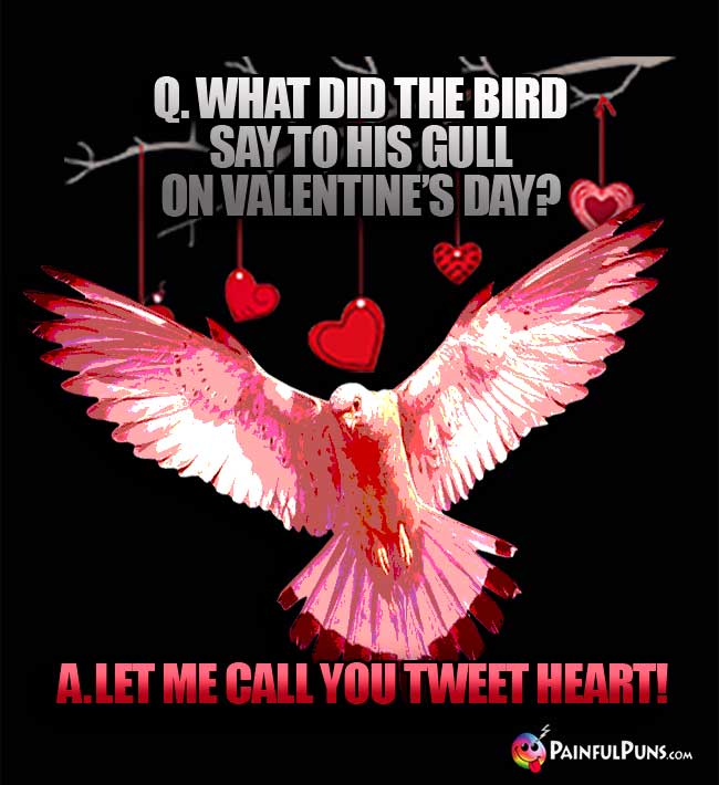Q. What did the bird say to his gull on Valentine's Day? A. Let me call you tweet heart!