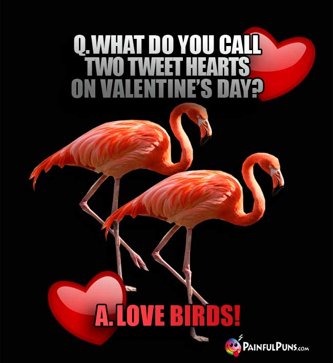 Q.. What do you call two tweet hearts on Valentine's Day? A. Love birds!