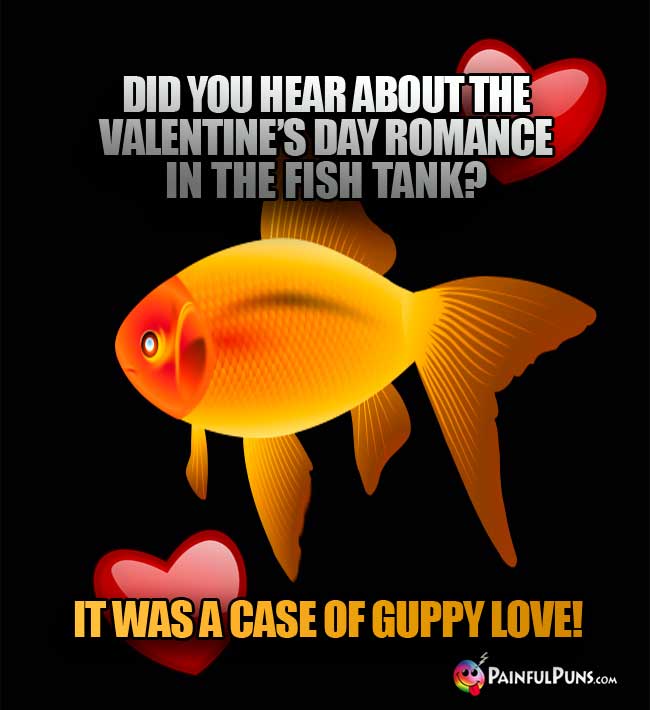 Did you hear about the Valentine's Day romance in the fish tank? It was a case of guppy love!