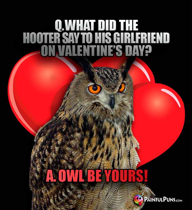 Q. What did the hooter say to his girlfriend on Valentine's Day? A Owl be yours!