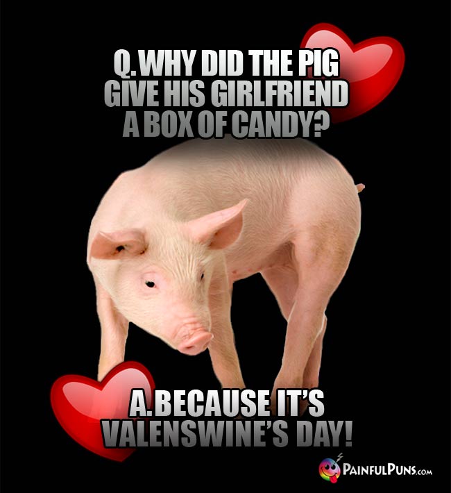 Q. Why did the pig give his girlfriend a box of candy? A Because it's Valenswin's Day!