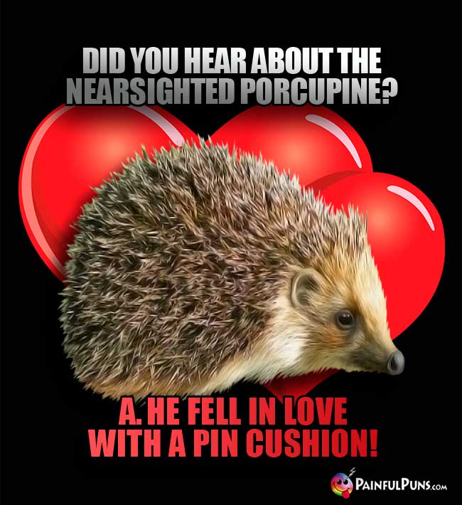 Q. Did you hear about the nearsighted porcupine?? A. He fell in love with a pin cushion!