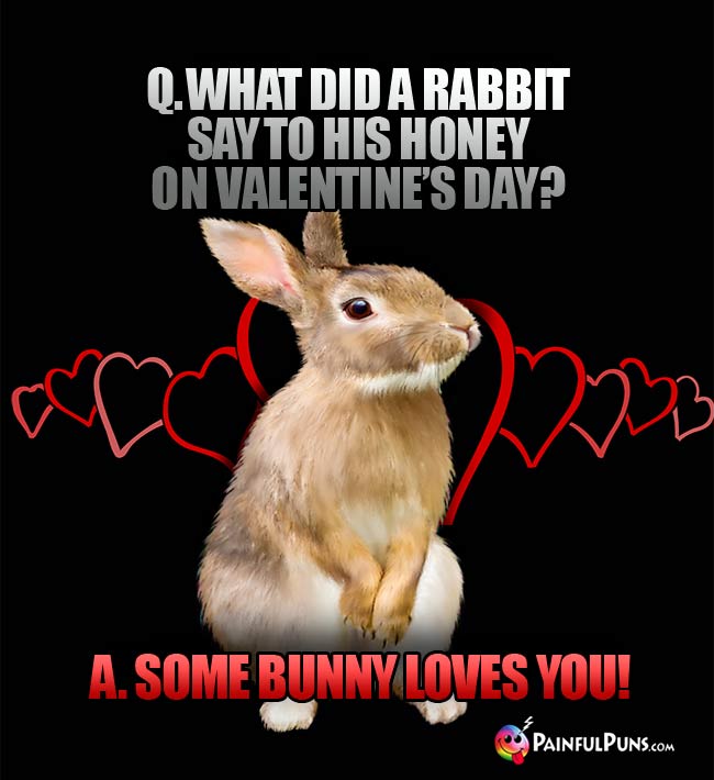 Q. What did a rabbit say to his honey on Valentine's Day? A. Some bunny loves you!
