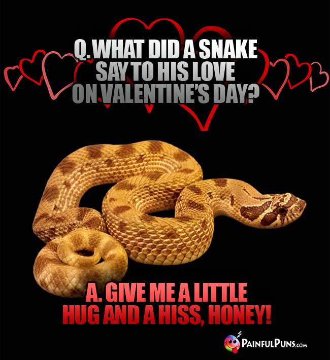 Q. What did a snake say to his love on Valentine's Day? A. Give me a little hug and a hiss, honey!