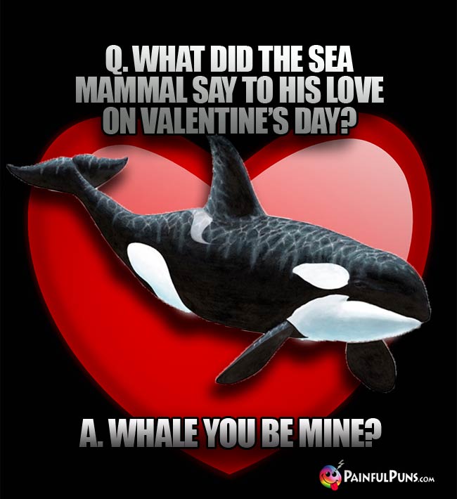Q. What did the sea mammal sayy to his love on Valentine's Day? A. Whale you be mine?