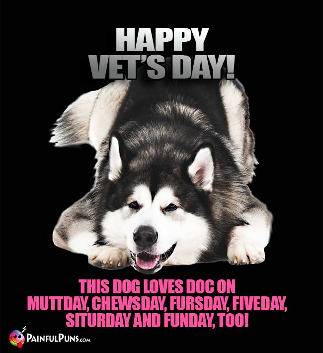Happy Vet's Day! This dog loves dog on Muttday, Chewsday, Fursday, Fiveday, Siturday and Funday, too!