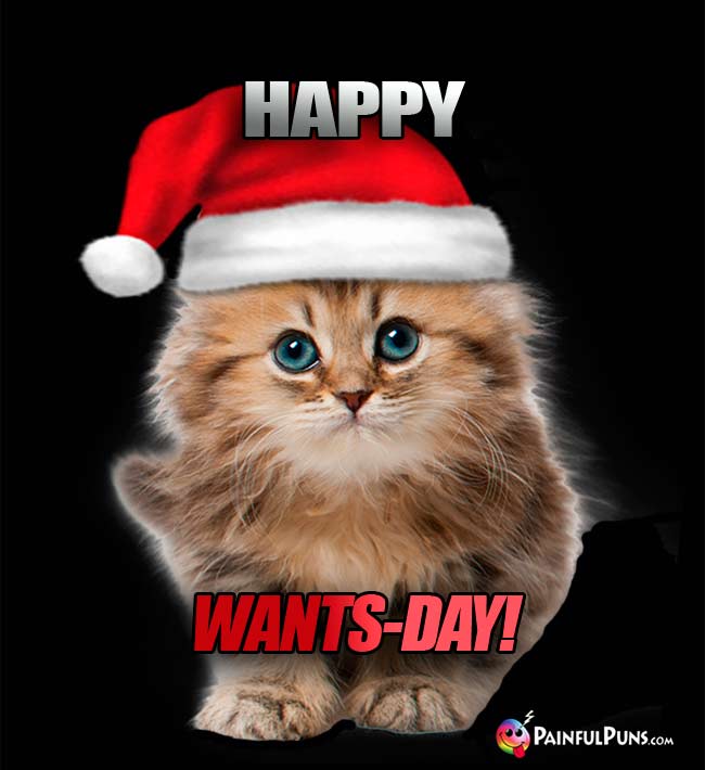 Kitten wearing a Santa hat says: Happy Wants-Day!