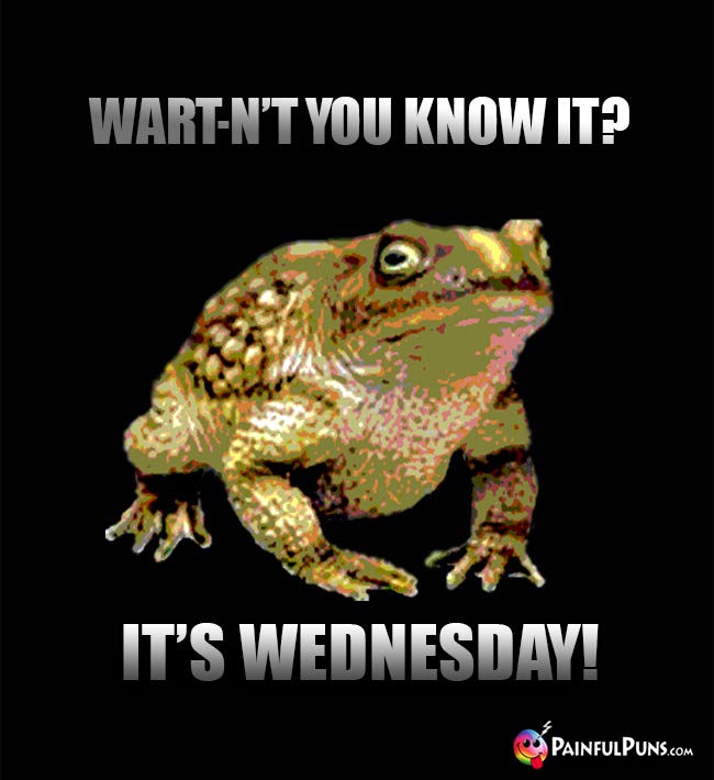 Toad Says: Wart-n't you know it? It's Wednesday!