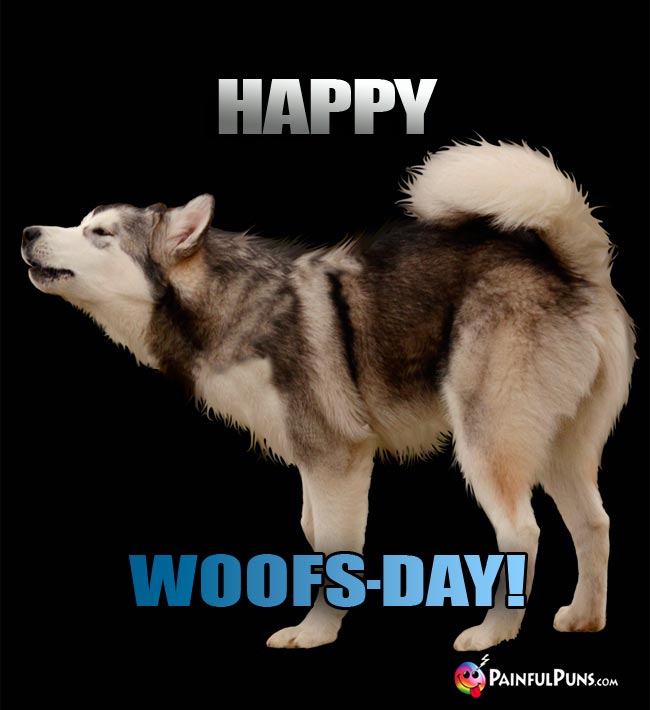 Big Sled Dog Says: Happy Woofs-Day!