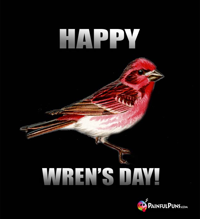 Little Bird Says: Happy Wren's Day!