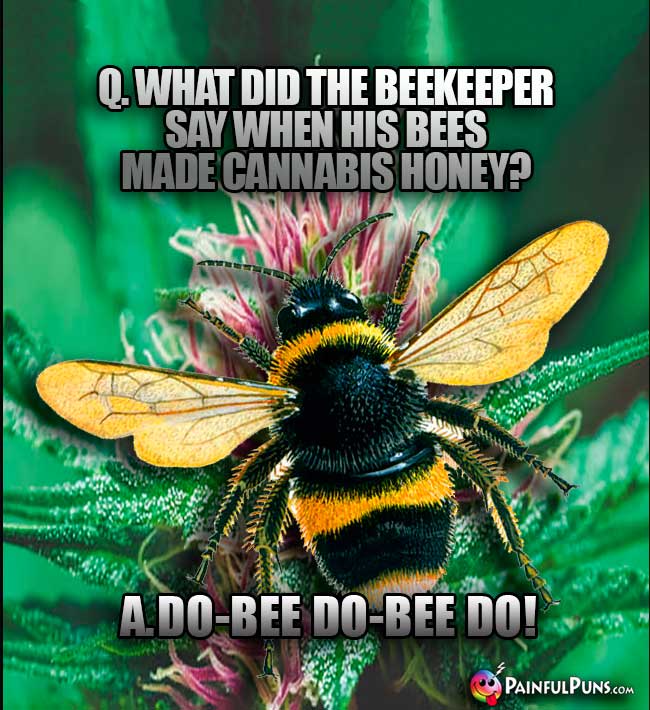 Q. What did the beekeeper say whn his bees made cannabis honey? A. Do-Bee Do-Bee Do!