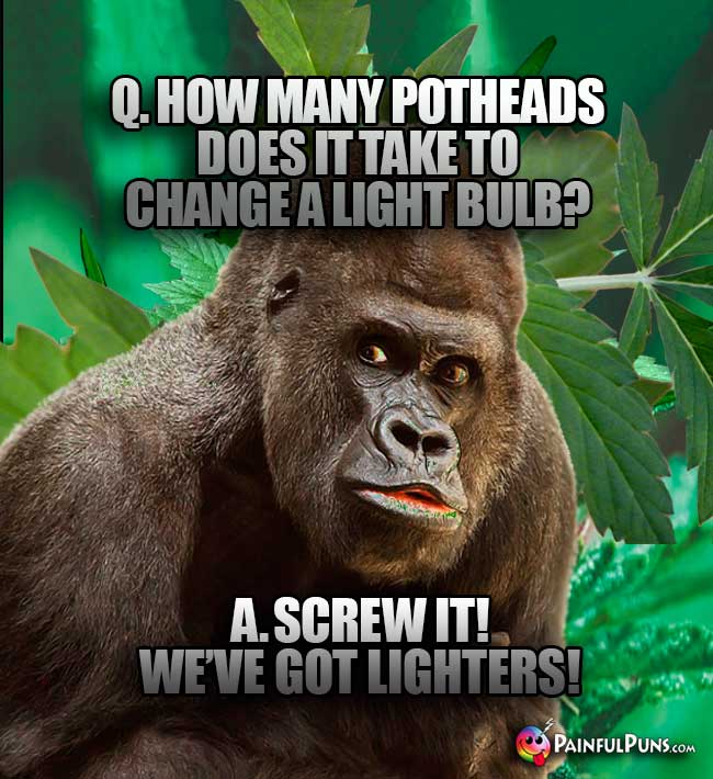 Q. How many potheads does it take to change a light bulb? A. Screw it! We've got lighters!