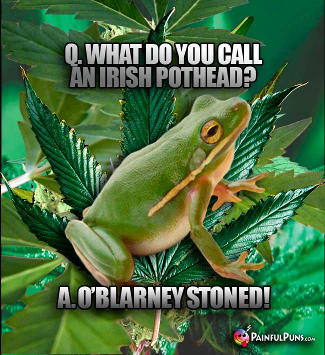 Q. What do you call an Irish pothead? A. O'Blarney Stoned!