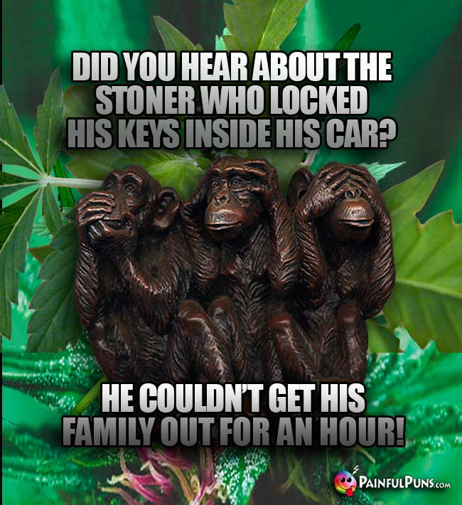 Did you hear about the stoner who locked his keys inside his car? He couldn't get his family out for an hour!