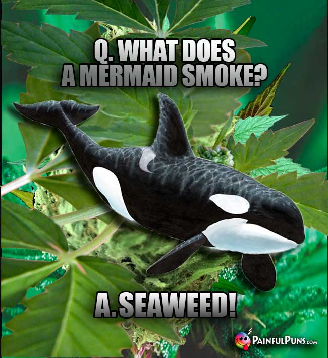 Q. What does a mermaid smoke? A. Seaweed!