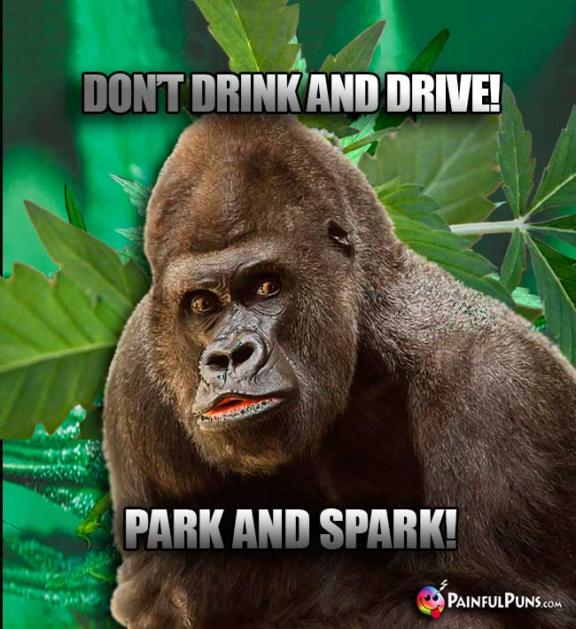 Big Ape Says: Don't drink and drive! Park and Spark!