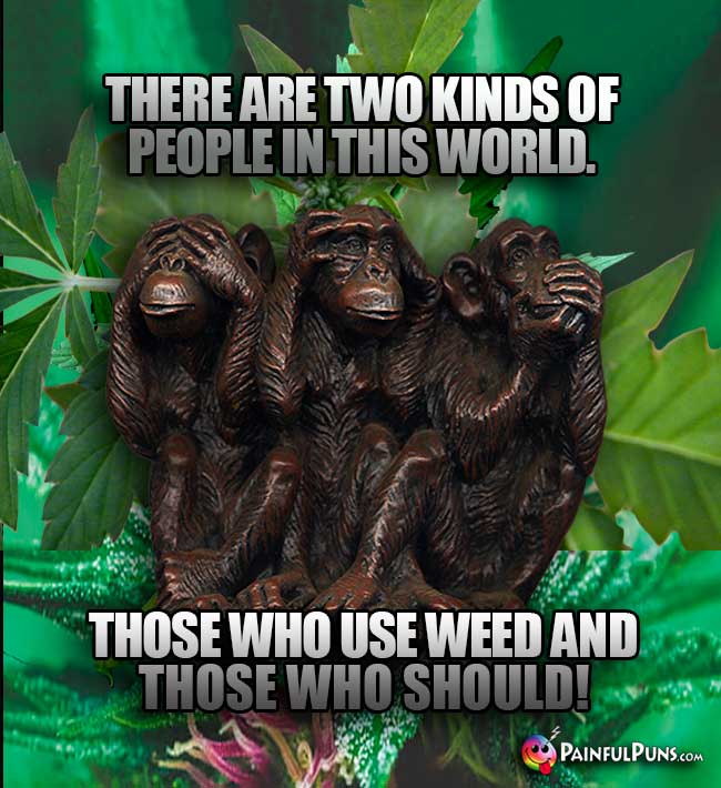 No Evil Monkeys Say: There are two kinds of people in this worl. Those who use weed and those who should!