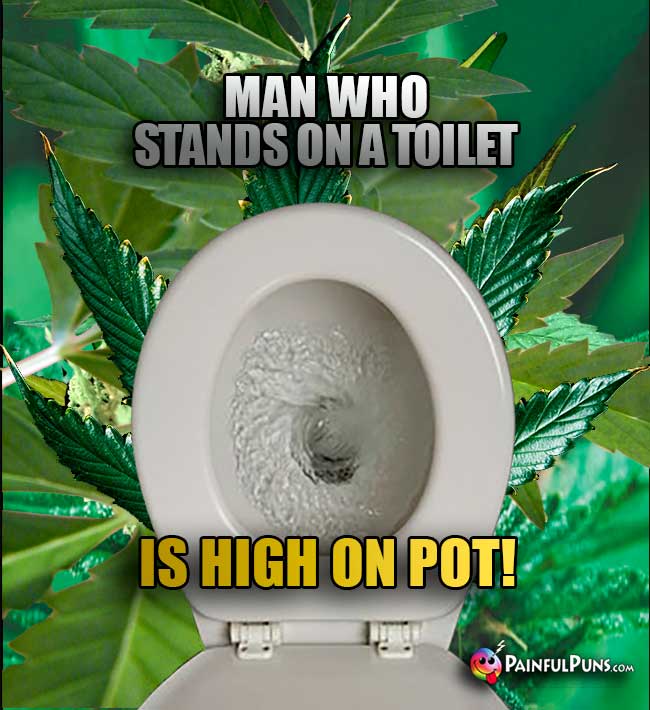 Man Who Stands On a Toilet is High ON Pot!