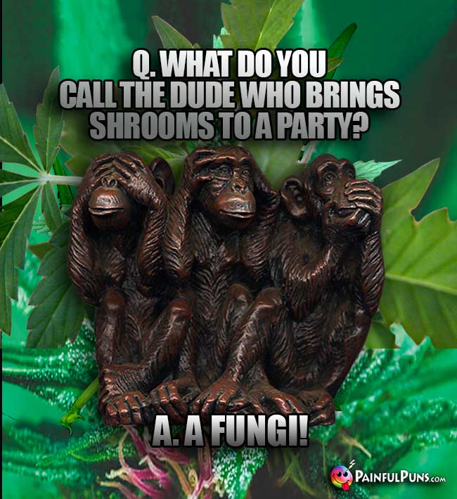 No Evil Monkeys Ask: What do you call the dude who brings shroom to a party? A. A Fungi!
