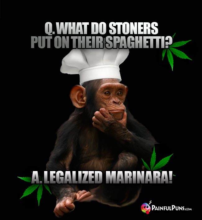 Chimp Chef Asks: What do stoners put on their spaghetti? A. Legalized Marinara!