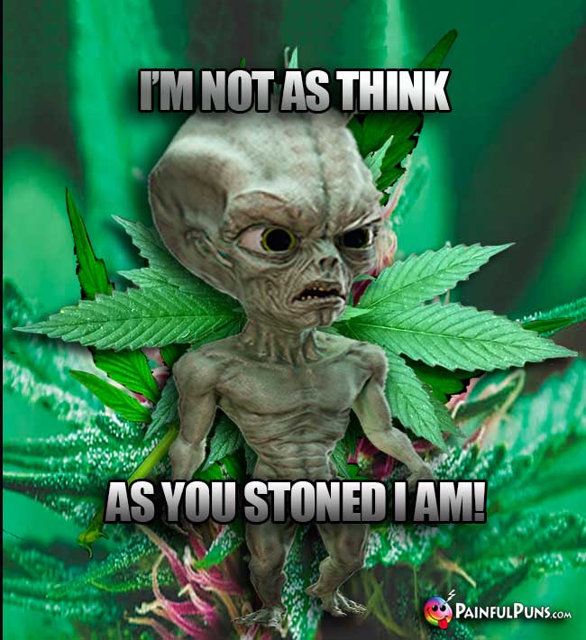 Green Alien Says: I'm not as think as you stoned I am!