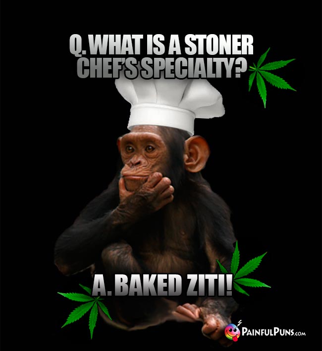 Chimp Chef Asks: What is a stoner chef's specialty? A. Baked Ziti!