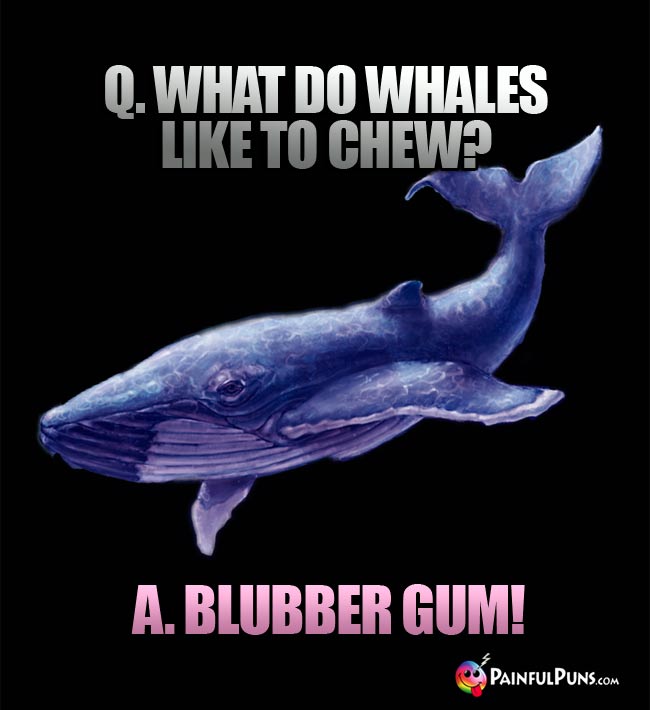 Q. What do whales like to chew? A. Blubber gum!