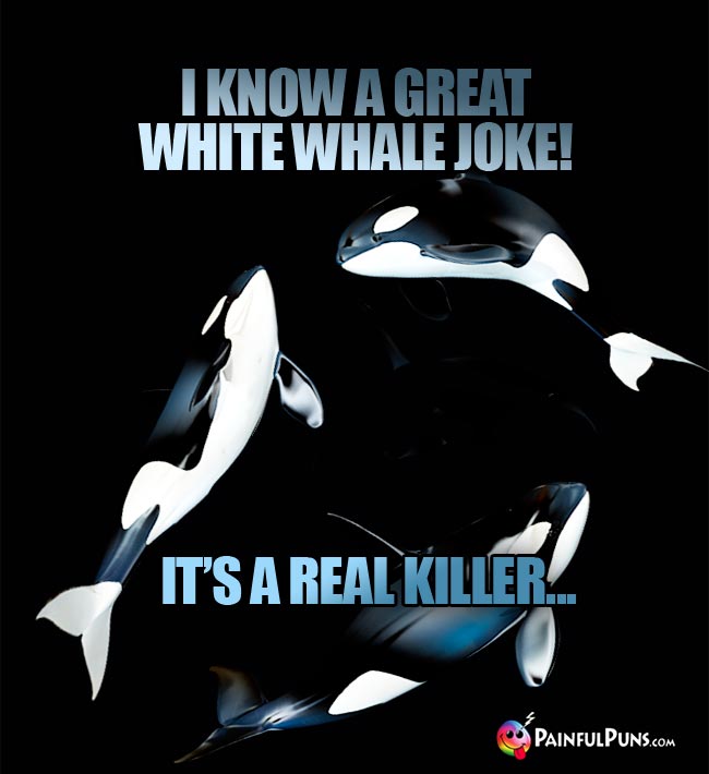 I know a great white whale joke! It's a real killer...