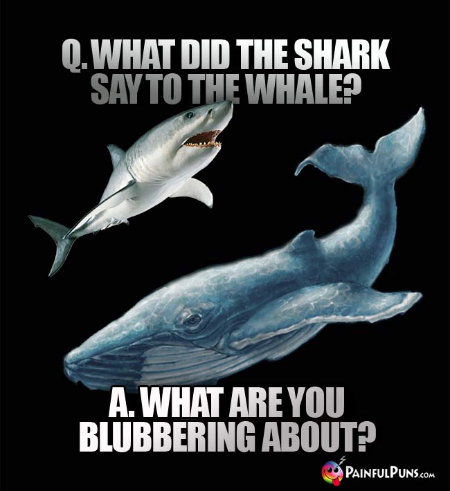 Q. What did the shark say to the whale? A. What are you blubbering about?
