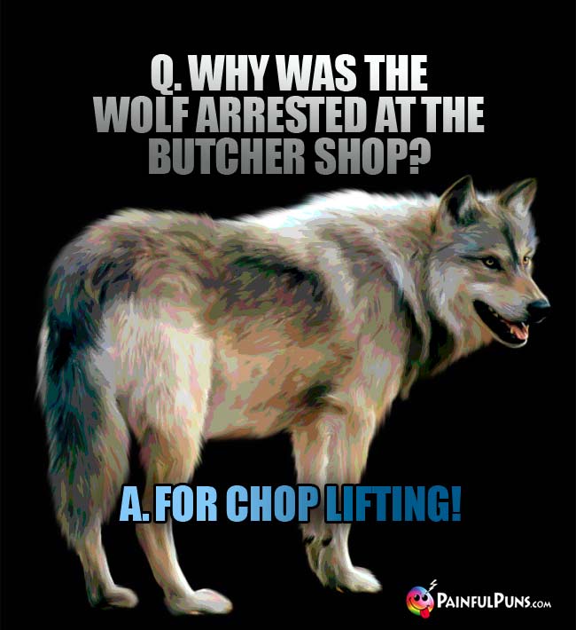 q. Why was the wolf arrested at the butcher shop? a. For chop lifting!
