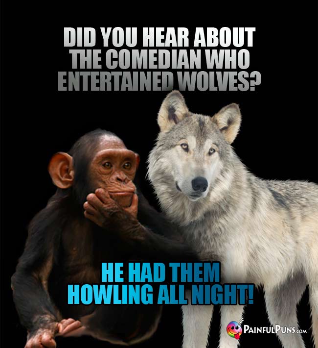 Did you hear about the comedian who entertained wolves? He had them howling all night!