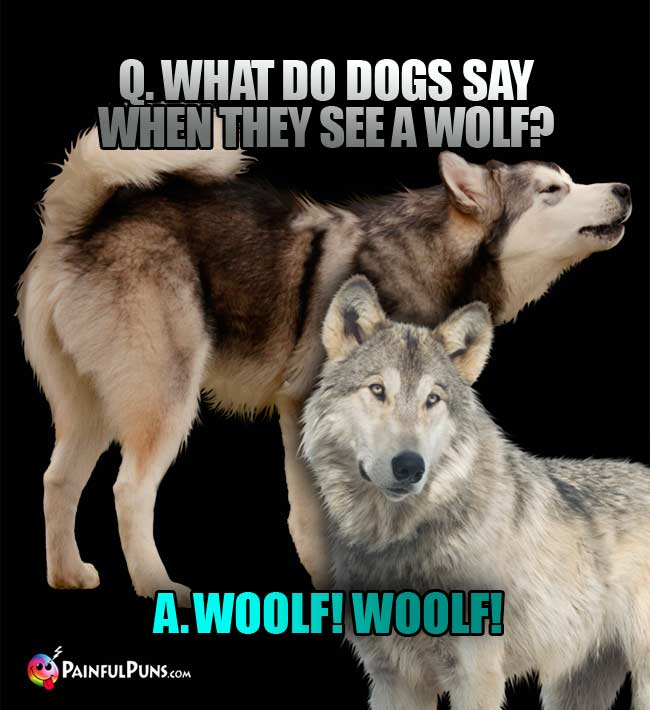Q. What do dogs say when they see a wolf? a. Woolf! Woolf!