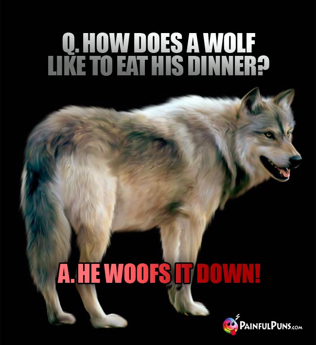 Q How does a wolf like to eat his dinner? A. He woofs it down!