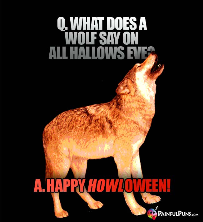 Q What does a wolf say on All Hallows Eve? A. Happy Howloween!