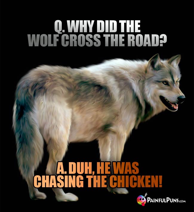 Q. Why did the wolf cross the road? A. Duh, he was chasin the chicken!