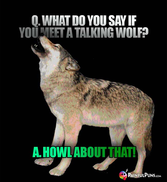 Q. what do you say if you meet a talking wolf? a. Howl about that!