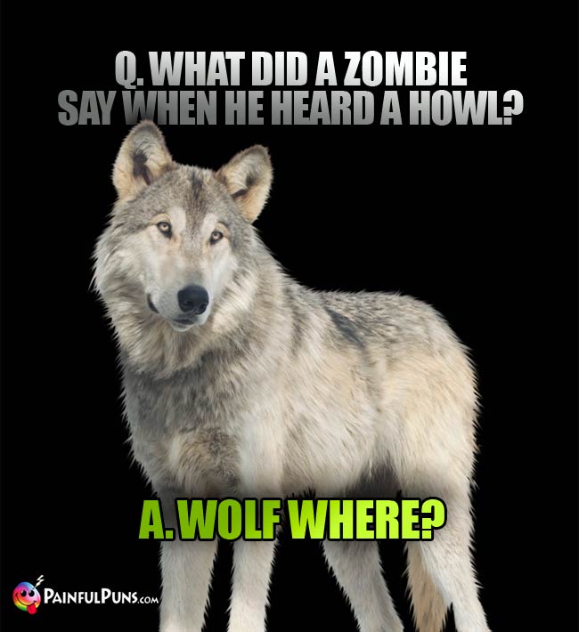 Q. What did a zombie say when he heard a howl? a. Wolf Where?