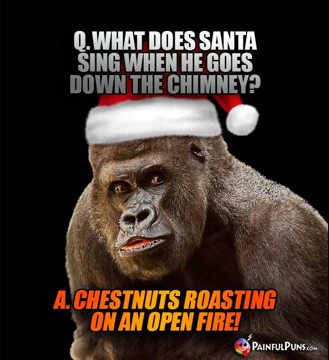 Big Ape Asks: What does Santa sing when he goes down the chimney? A. Chestnuts Roating on an Open Fire!