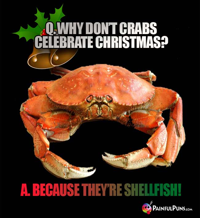 Q. Why don't crabs celebrate Christmas? A. Because they're shellfish!