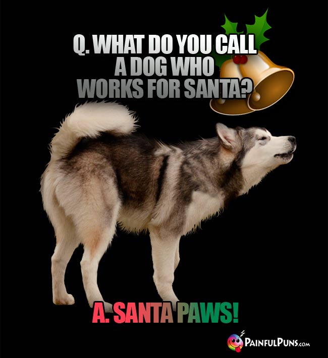 Q. What do yu call a dog who works for Santa? A. Santa Paws!