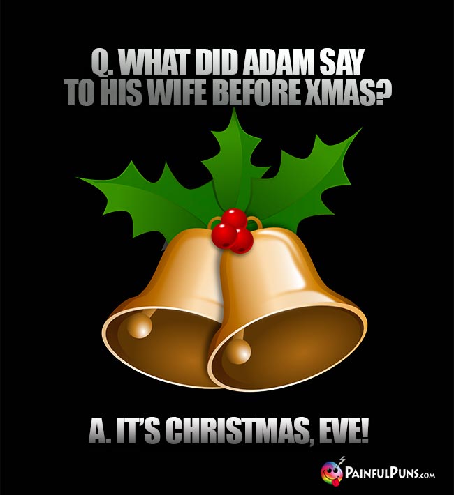 Q. What did Adam say to his wife before Xmas? A. It's Christmas, Eve!