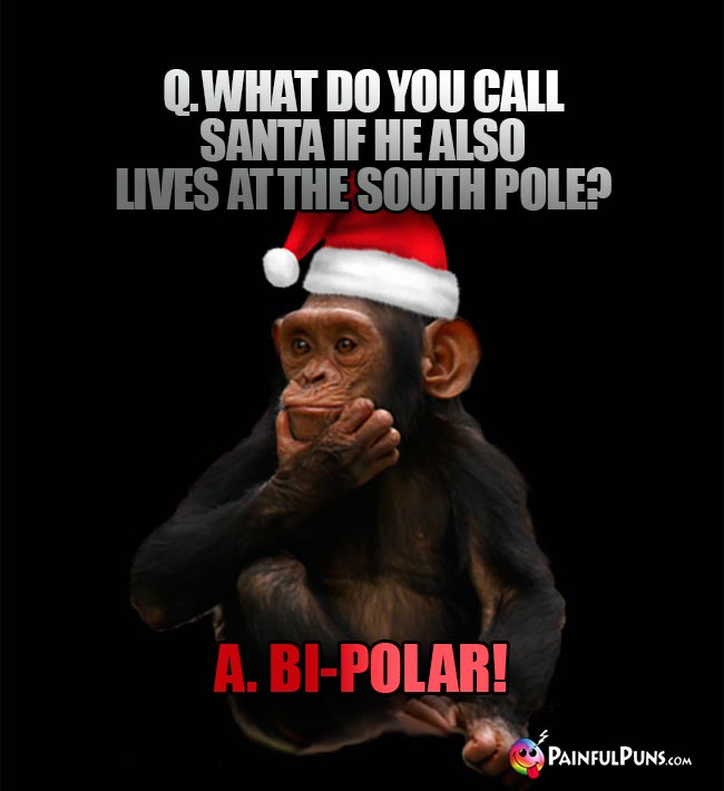 Q. What do you call Santa if he also lives at the South Pole? A. Bi-Polar!