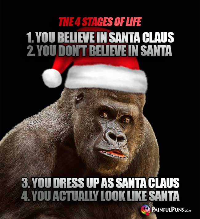 The 4 Stages of Life. !. you believe in Santa Claus. 2. You don't believe in Santa 3. You dress of as Santa 4. You actually look like Santa