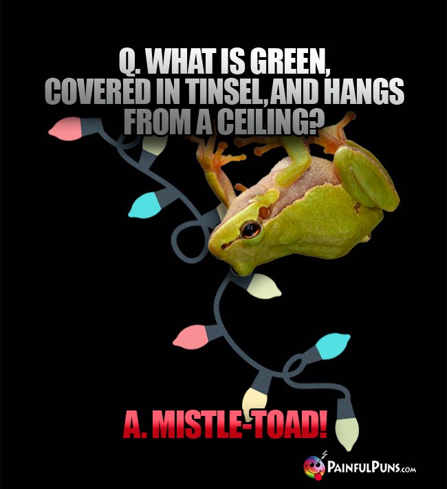 Q. What is green, covered in tinsel, and hangs from a ceiling? A. Mistle-Toad!
