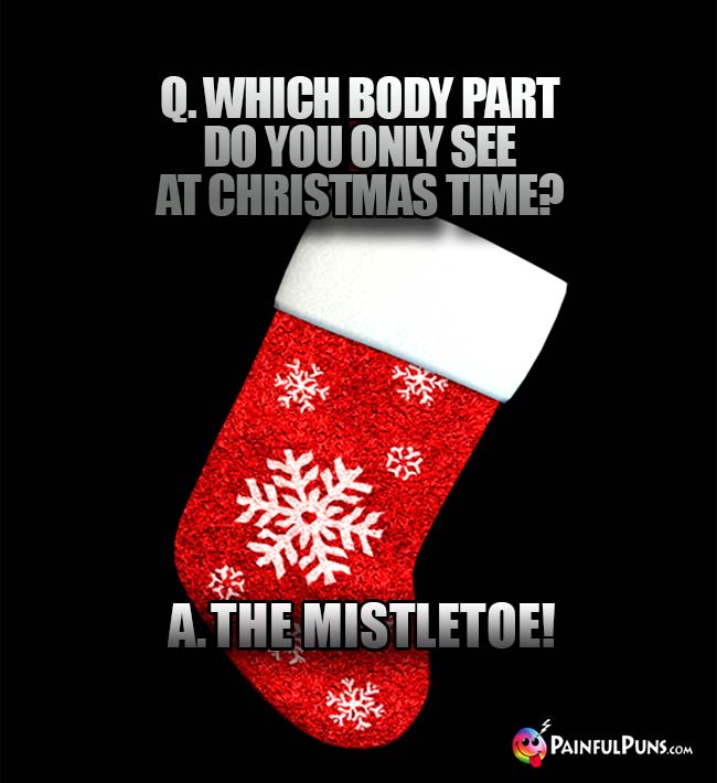 Q. Which body part do you only see at Christmas time? A. The Mistletoe!