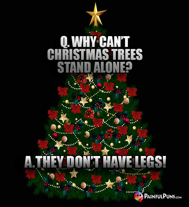 Q. Why can't Christmas trees stand alone? A. They don't have legs!