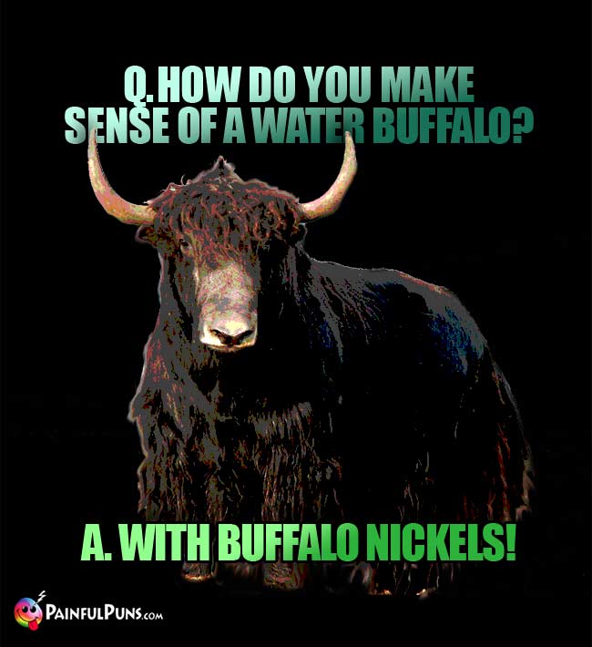 Q. How do you make sense of a water buffalo? A. With buffalo nickles!