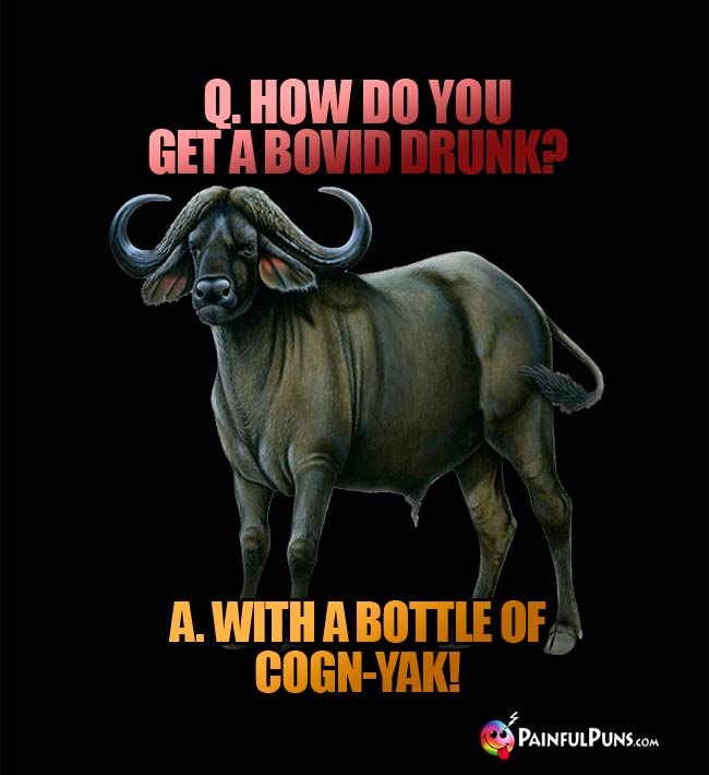 Q. How do you get a bovid drunk? A. With a bottle of Cogn-Yak!