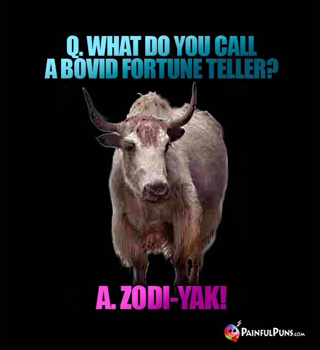 Q. What do you call a bovid fortune teller? A. Zodi-Yak!